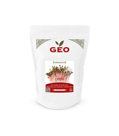 Rzodkiewka różowa - nasiona na kiełki GEO, certyfikowane, DUŻE OPAKOWANIE, 500g, Bavicchi (VRV1409) Bavicchi