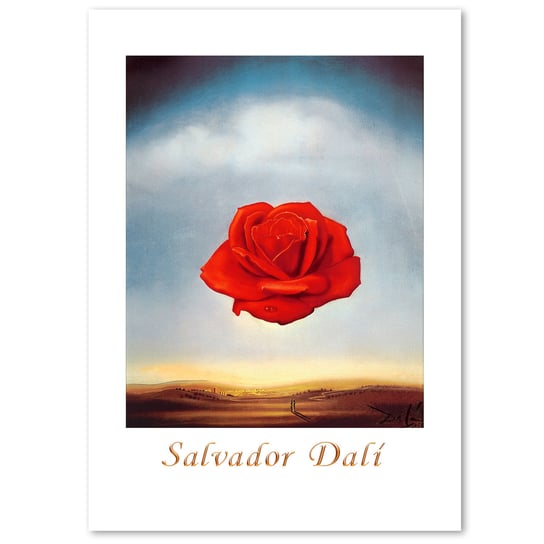 S. Dali, Róża Medytująca, plakat 50x70 DEKORAMA