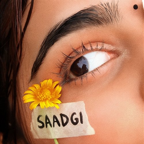 Saadgi Musaafir & Big Bunny