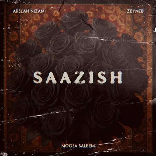 Saazish Arslan Nizami, Moosa Saleem, Zeyneb