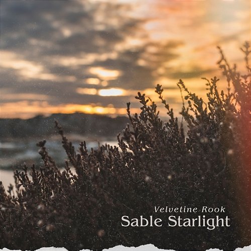 Sable Starlight Velvetine Rook
