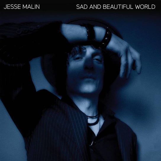 Sad And Beautiful World, płyta winylowa Malin Jesse