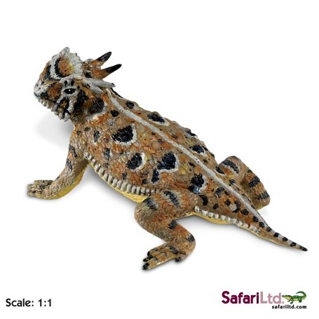 Safari Ltd 156605 Frynosoma szerokonosa - Jaszczurka 13,5x8,5c Safari