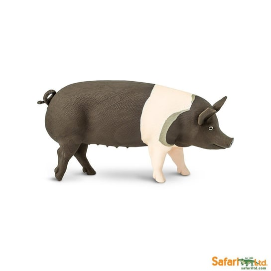 Safari Ltd 161829 świnia rasy Hampshire  11x5cm Safari