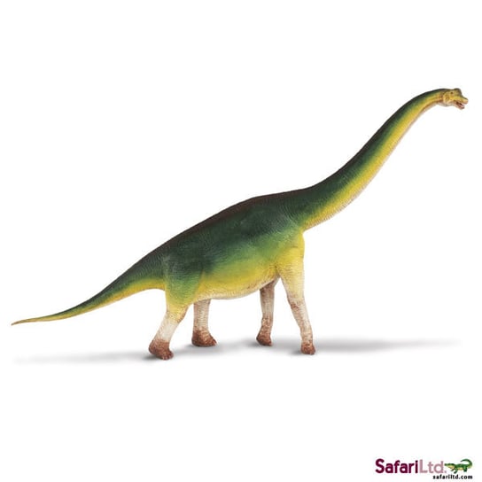 Safari Ltd 300229 Dinozaur Brachiozaur 34,5x1,5cm Safari