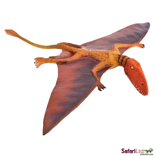 Safari Ltd 304729 Dinozaur Dimorfodon  23,5x14,5x2cm Safari