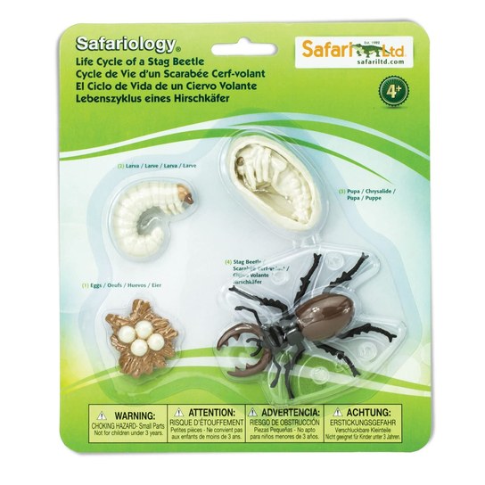 Safari Ltd Life Cycle of a Stag Beetle - Safari | Sklep EMPIK.COM