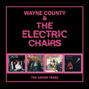 Safari Years Wayne County & the Electric Chairs