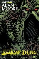 Saga Of The Swamp Thing Book Five Veitch Rick