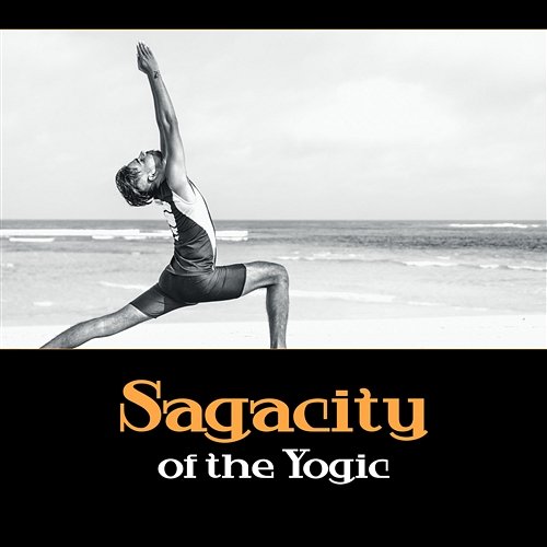 Sagacity of the Yogic – Reunion of Joy Body Soul Music Zone