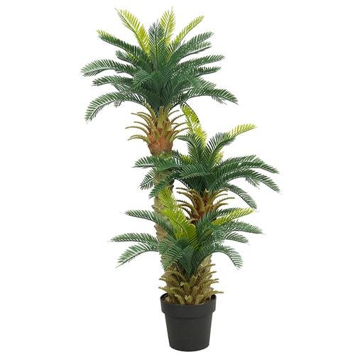 Sagowiec - palma w donicy 120 cm Bomm