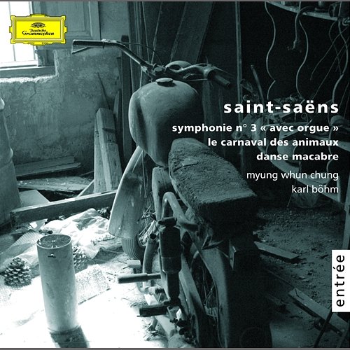 Saint-Saëns: Symphony No. 3 in C Minor, Op. 78, R. 176 "Organ Symphony" - Ib. Poco adagio Michael Matthes, Orchestre de l'Opéra Bastille, Myung-Whun Chung
