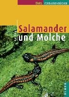 Salamander und Molche Rimpp Kurt