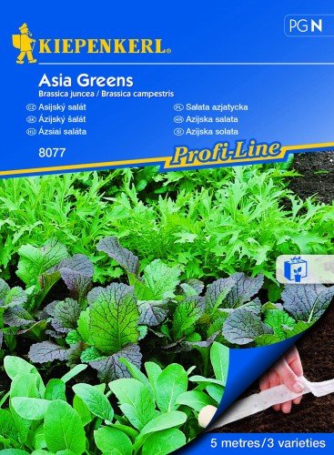 Sałata Azjatycka Asia Greens – Kiepenkerl KIEPENKERL