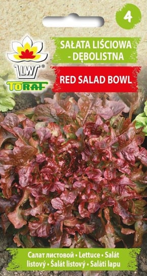 Sałata Liściowa-Dębolistna Red Salad Bowl (Czerwona)
Lactuca Sativa L. Toraf