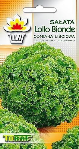 Sałata liściowa LOLLO BIONDA (zielona, wczesna)
Lactuca sativa L. Toraf