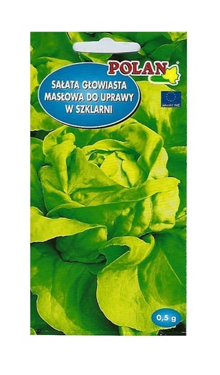 Sałata szklarniowa Safir 0,5 g POLAN Inna marka