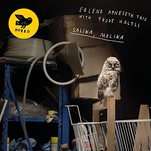 Salika. Molika, płyta winylowa Various Artists