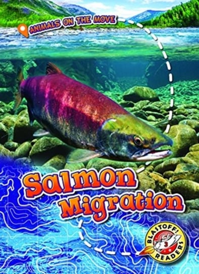 Salmon Migration Kari Schuetz