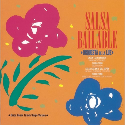Salsa Bailable Orquesta De La Luz
