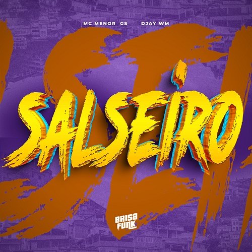 Salseiro Djay WM & Mc Menor Gs