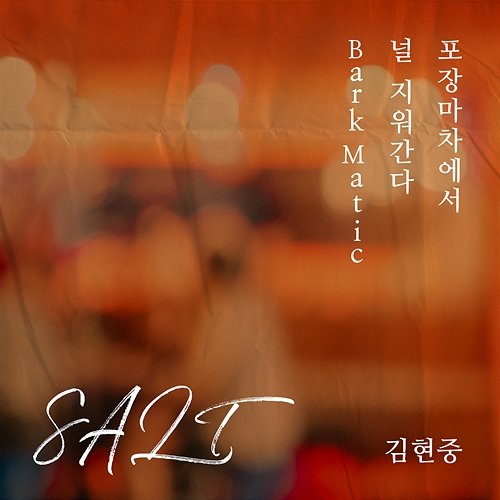SALT Kim Hyun Joong