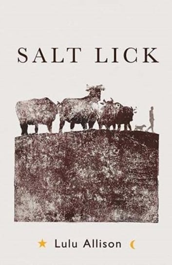 Salt Lick. Longlisted for the Women's Prize for Fiction 2022 Lulu Allison