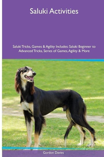 Saluki  Activities Saluki Tricks, Games & Agility. Includes Davies Gordon