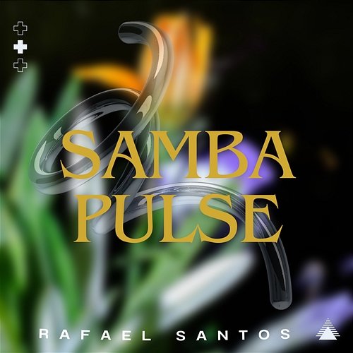 Samba Pulse Rafael Santos