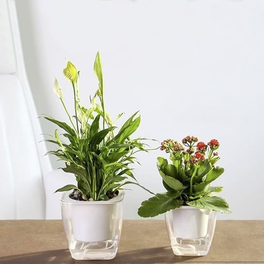 Samonawadniająca doniczka / donica do kwiatów i roślin- mała Hedo