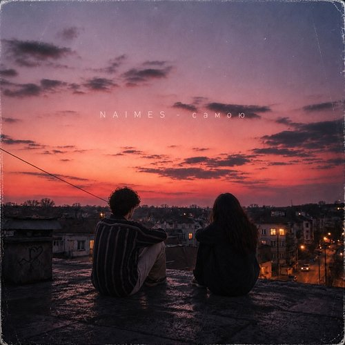 самою NAIMES