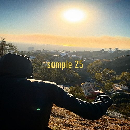 Sample 25 Maxon