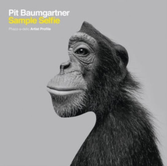 Sample Selfie, płyta winylowa Pit Baumgartner