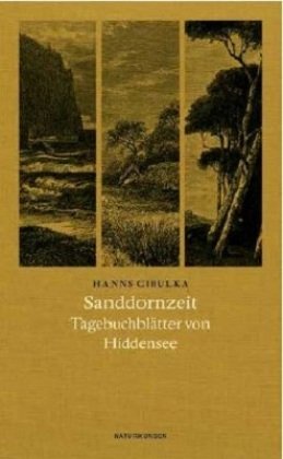 Sanddornzeit Matthes & Seitz Berlin