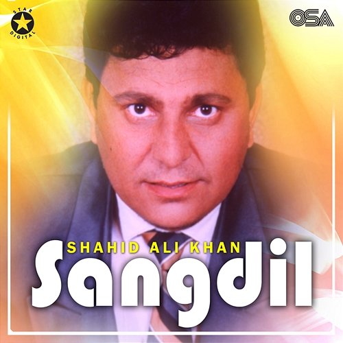 Sangdil Shahid Ali Khan