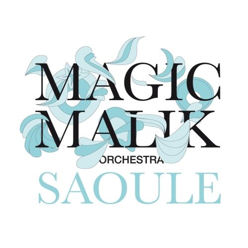 Saoule Magic Malik Orchestra