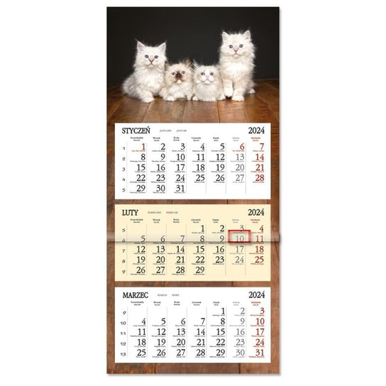 Sapt, kalendarz 2024 trójdzielny płaska główka sb8-17 białe kociaki Sapt