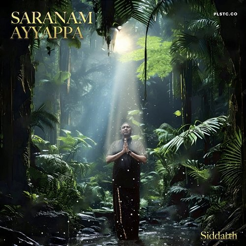 Saranam Ayyappa Siddarth