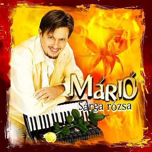 Sárgarózsa Mario