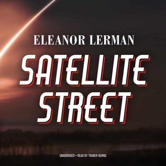 Satellite Street Lerman Eleanor
