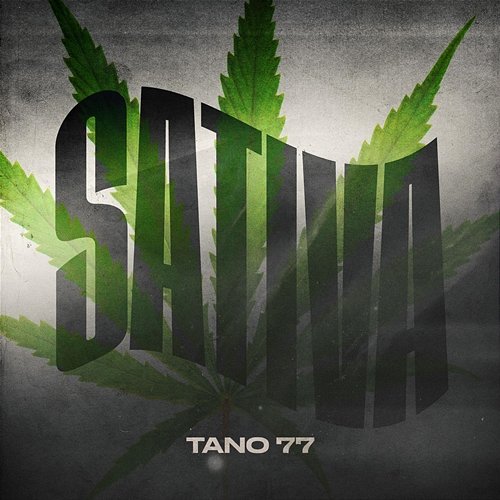 Sativa TANO77