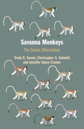 Savanna Monkeys: The Genus Chlorocebus Turner Trudy R., Schmitt Christopher A., Cramer Jennifer Danzy