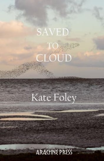 Saved to Cloud Kate Foley