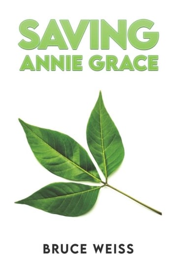 Saving Annie Grace austin macauley publishers llc