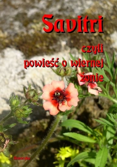 Savitri. Powieść o wiernej żonie - ebook PDF Vyasa