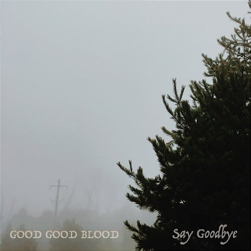 Say Goodbye Good Good Blood