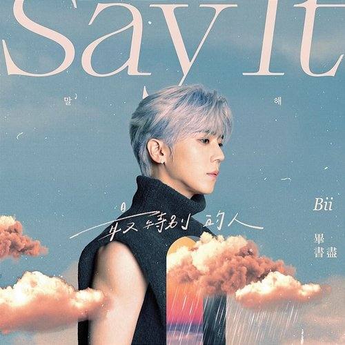Say It BII