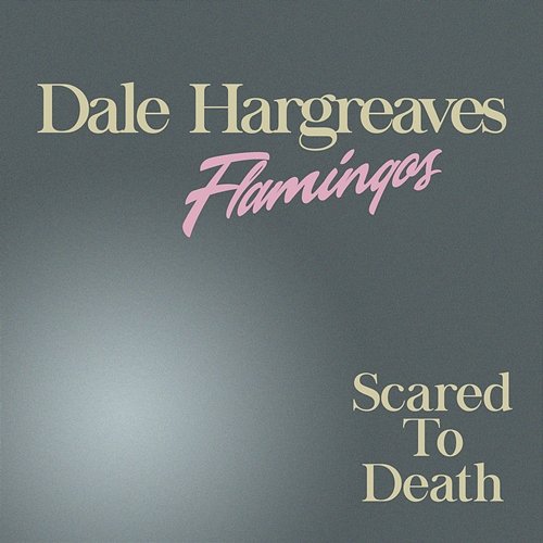 Scared To Death Dale Hargreaves And The Flamingos
