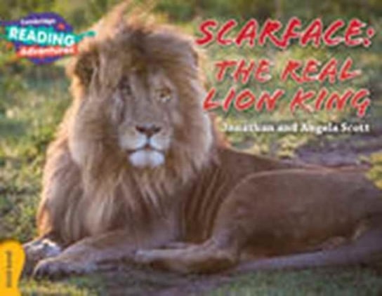 Scarface. The Real Lion King Gold Band Jonathan Scott