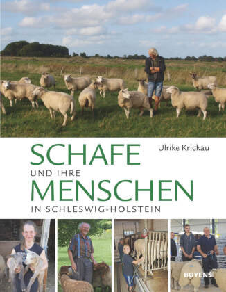 Schafe und ihre Menschen in Schleswig-Holstein Boyens Buchverlag